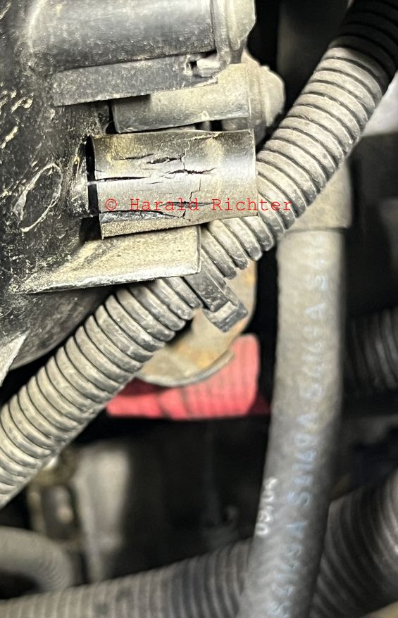 Poröser Verschlussstopfen1.jpg